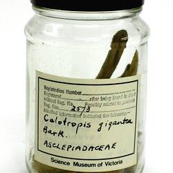 Bark Sample - Calotropis Gigantea, India, 1880s