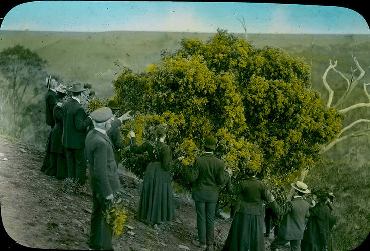 Lantern Slide - Werribee Gorge, Victoria, 1905. [BA 1065]