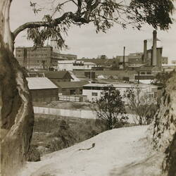 Photograph - Kodak Australasia Pty Ltd, View of Kodak Factory Site & Market Gardens from River Bank, Abbotsford, Victoria, circa 1940s