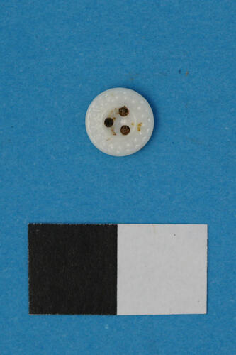 Button Closure - Prosser, White, Moulded, Stippled,1840-