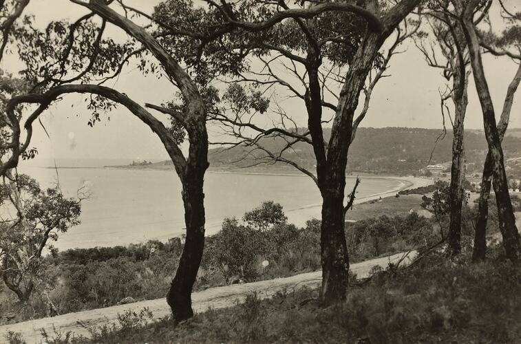 Photograph - Coastal Landscape, Lorne District, Victoria, circa 1920s