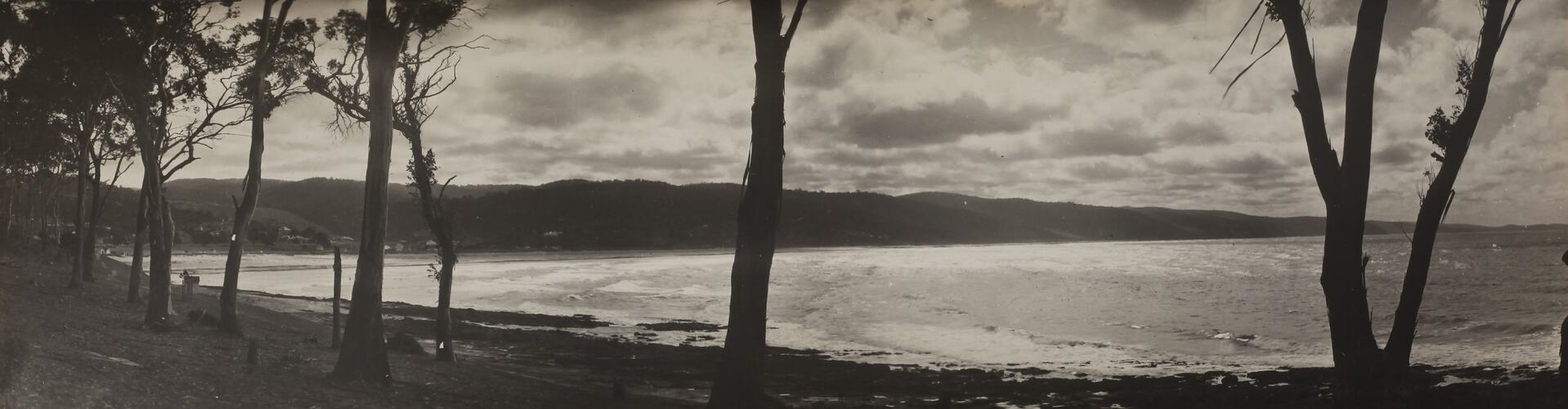 Photograph - Coastal Landscape, Lorne, Victoria, circa 1920s