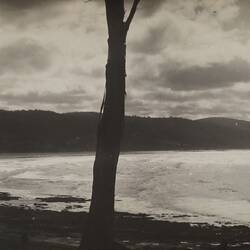 Photograph - Coastal Landscape, Lorne, Victoria, circa 1920s