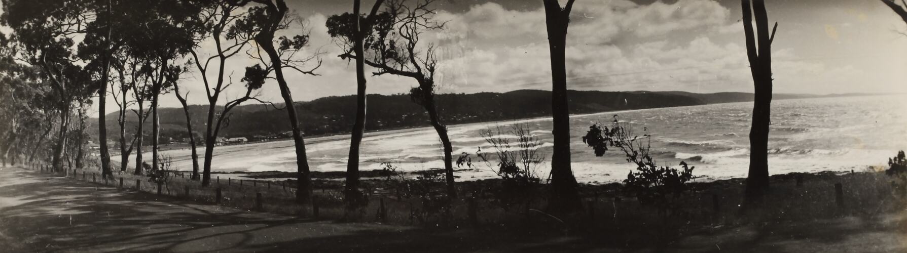 Photograph - Coastal Landscape, Lorne, Victoria, circa 1920s