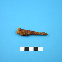 Nail - Metal, circa 1805-circa mid-20th century