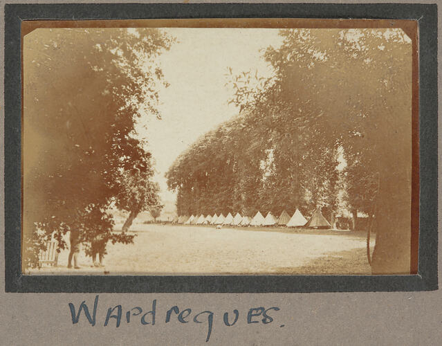 Large open field with long line of tents stretching into the background and row of tall, leafy trees behind.