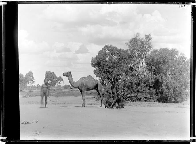 Glass plate, Arrernte, Finke River, Central Australia, Northern Territory, Australia