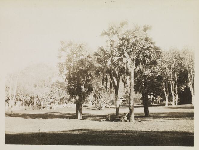 Ezbekia Gardens', Egypt, Captain Edward Albert McKenna, World War I, 1914-1915