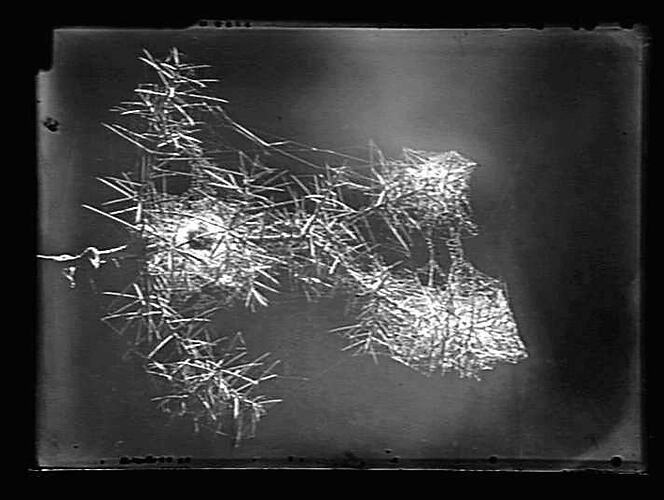 Negative - Glass