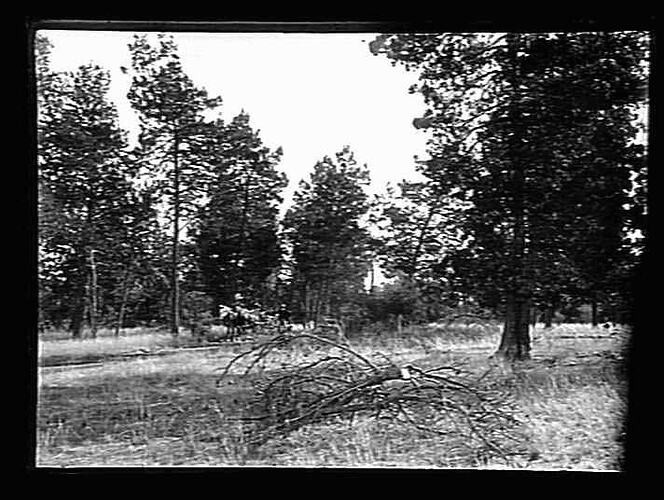 Negative - Glass