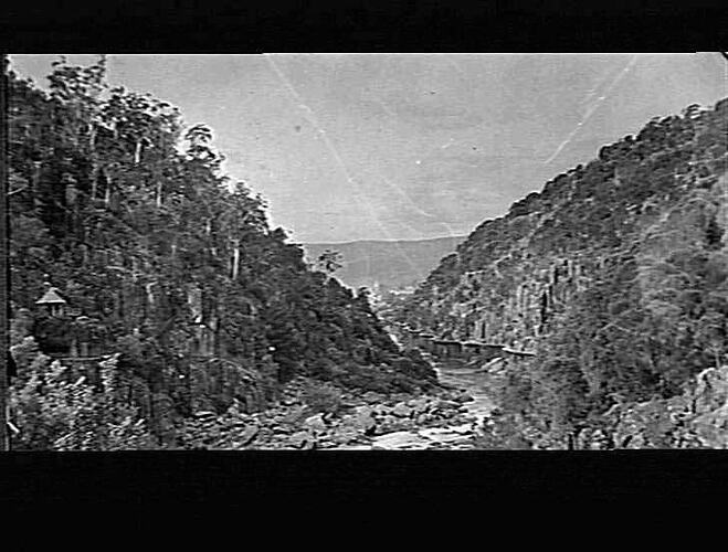 PORT ARTHUR - WOMAN AT FERNY GULLY