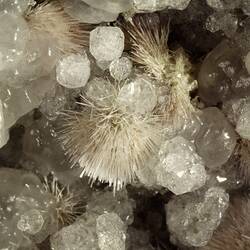 Detail view of several clumps of spindly crystals amongst larger white crystals.