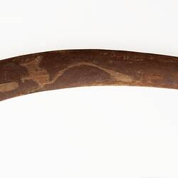 Boomerang, <em>Irrew</em>, Lower Arrernte, Charlotte Waters, Central Australia, Northern Territory, Australia, 1913