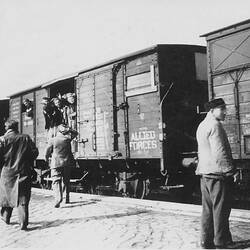 Digital Photograph - Polish Displaced Persons Aboard Train, Salzgitter Region, Germany, 1946
