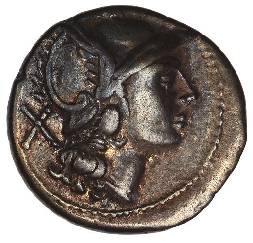 Coin - Denarius, Ancient Roman Republic, 209-208 BC