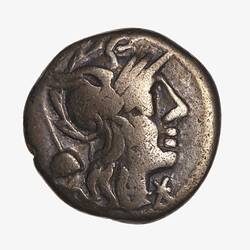 Coin - Denarius, T. Quinctius Flamininus, Ancient Roman Republic, 126 BC