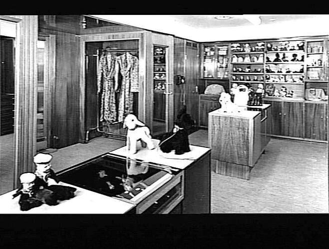 Ship interior. Ship shop with counter, shelves and displays.