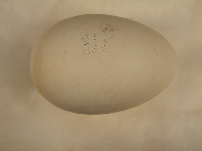 Bird egg, hand written text on shell.