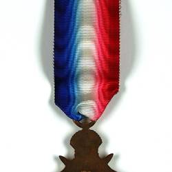 Star shaped medal with blue, white and red ribbon.
