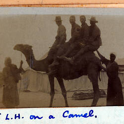 Photograph - '5 L.H. on a Camel', Egypt, Trooper G.S. Millar, World War I, 1914-1915