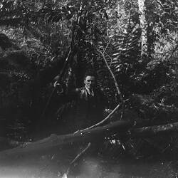Glass Negative - Man In Forest, circa 1920s