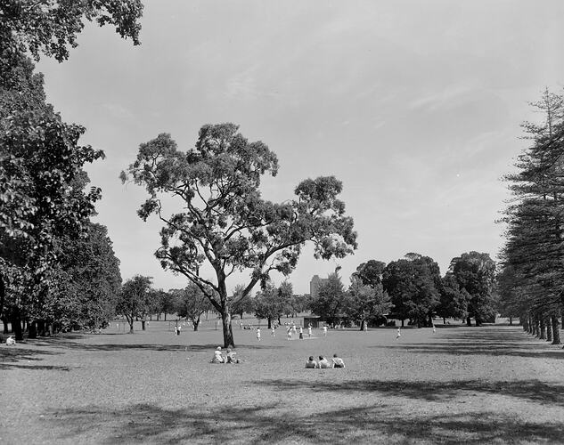 Melbourne City Council, View of Fawkner Park, Victoria, 08 Jan 1960