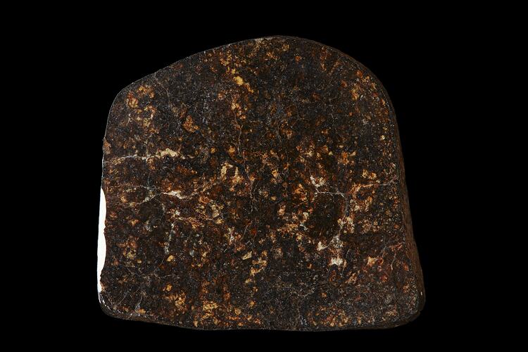 Archie Meteorite. [E 12408]