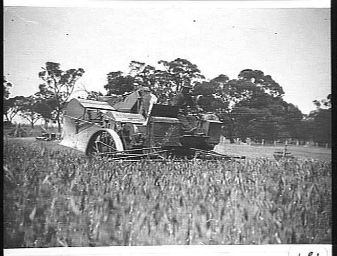 AUTO HEADER AT WORK ON LYNAS BROS. FARM, CHARLTON: DEC 1926