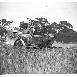 Photograph - H.V. McKay Pty Ltd, Harvesting on Lynas Bros Farm with Sunshine Auto Header, Charlton, Victoria, 1926