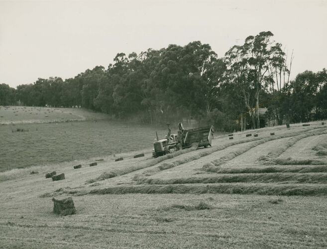 Man driving a tractor with caterpillar tracks coupled to a baler in a field.