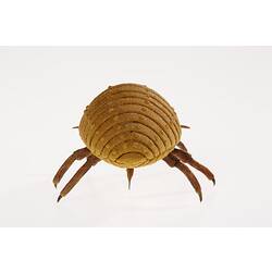 Back of model of brown bug.
