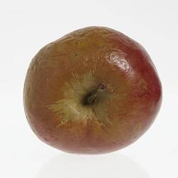 Wax apple model painted red. Has brown stem. Surface is wrinkled and has brown spots. Top view.