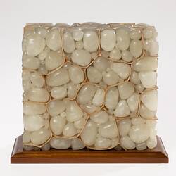 Rectangular shaped model of smooth white cells forming a wall. Wooden base.