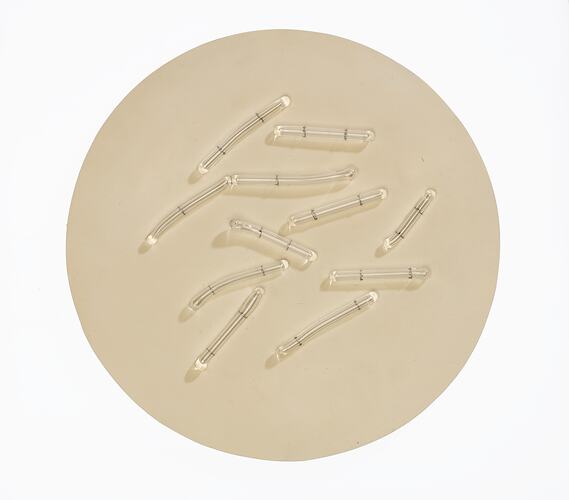 Light brown disc with clear glass capsule-shaped pieces on top.