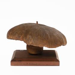 Mushroom Model - Psalliota Campestris (Agaricaceae), 1884-1888