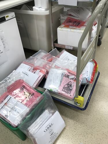 Digital Image - Deliveries from Referring Pathology Labs, Doherty Institute, Parkville, 2020