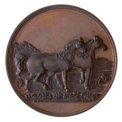 Medal - General Purpose Agricultural Bronze Prize, c. 1875 AD