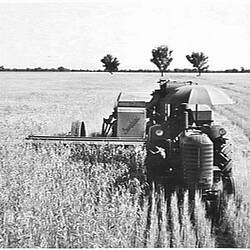 Photograph - H.V. McKay Massey Harris, Farm Equipment Manufacture & Field Trials, Australia, Jan 1951