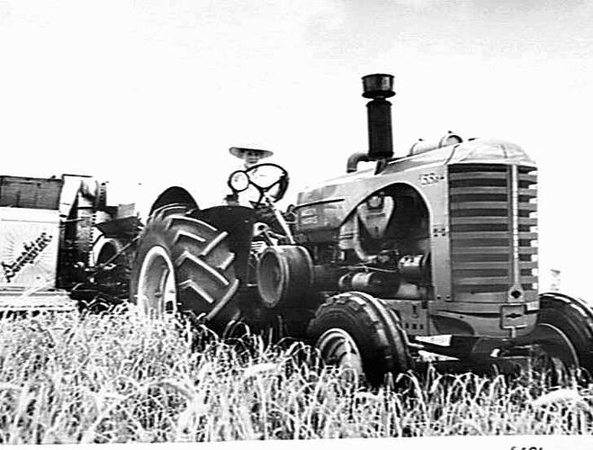 MR. KEITH PARKER, `MT. PLEASANT', BANNOCKBURN, VIC., NO. 6 HEADER AND 55K TRACTOR IN 20-BAG CROP OF RESEARCH BARLEY: JAN 1953