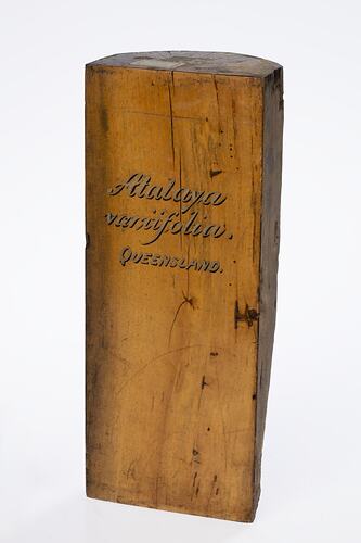 Irregularly shaped timber sample with gold lettering.