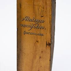 Irregularly shaped timber sample with gold lettering.