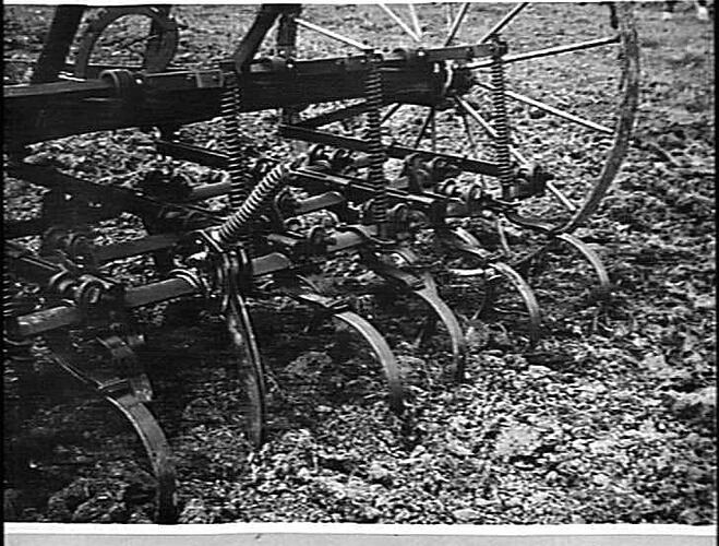 SPRING MOUNTED ROLLER JUMP FOR TYNE