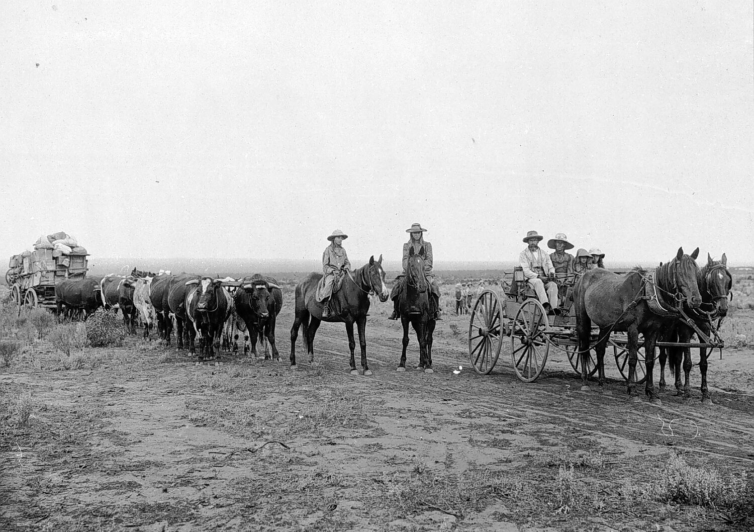 Negative - Kalgoorlie District, Western Australia, 1904