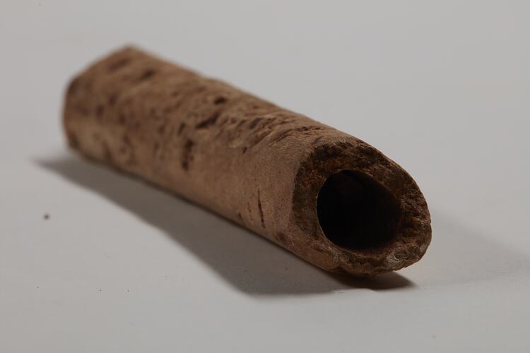Brown, cylindrical fossil bone fragment.