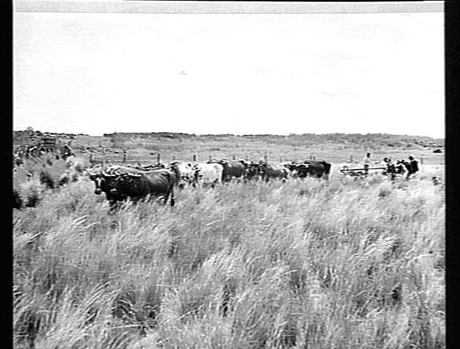 Photograph - H. V. McKay factory and/or equipment