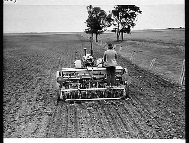 MR. L. SCHMIDT OF HORSHAM, VIC. DRIVES HIS SUNSHINE MASSEY HARRIS TRACTOR BY `ONE-MAN CONTROL' FROM THE 14-ROW, 29-TINE `SUNTYNE' COMBINE: JUNE 1946