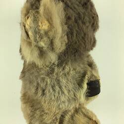 Right profile of fluffy grey toy koala.