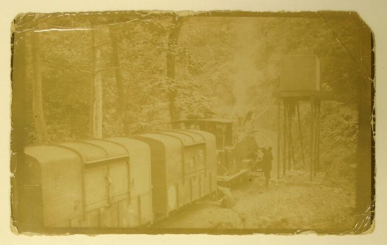 Man standing next to train in Darjeeling forest.