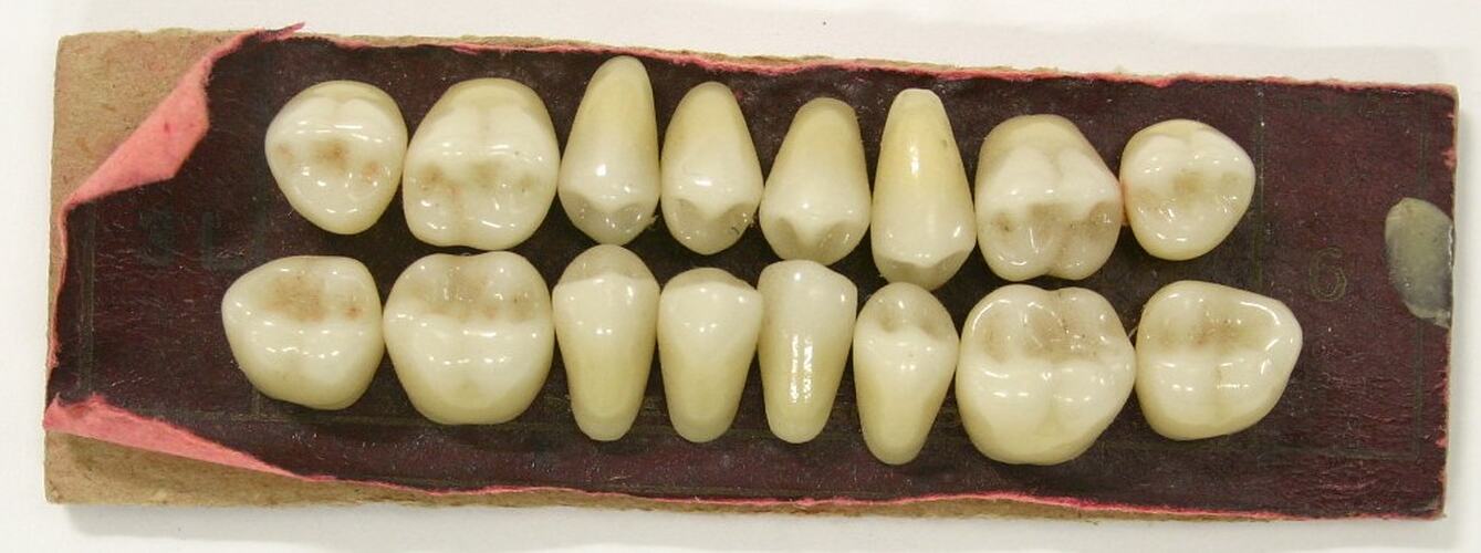 Polished set of artificial teeth.