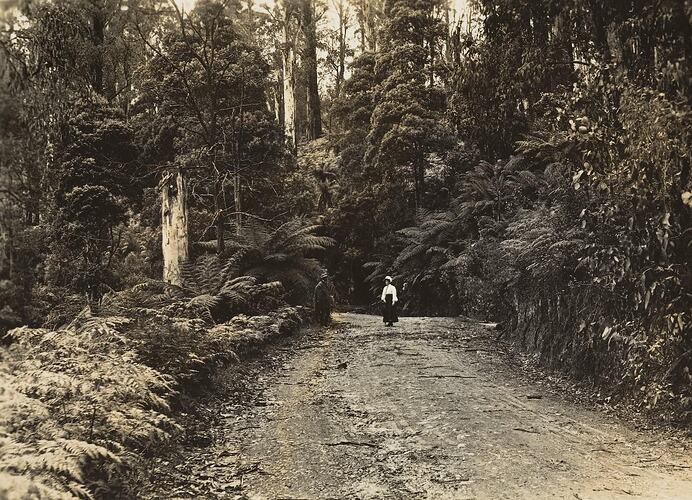 Digital Photograph - Man & Woman on Road in Forest, Black Spur, pre 1915